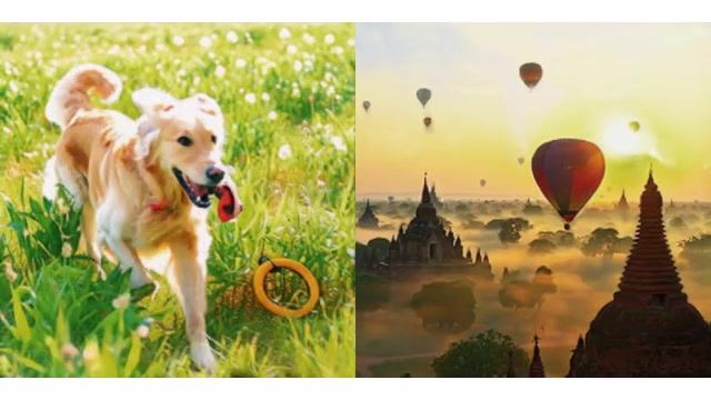 AEON renders a running dog and hot-air balloons as dynamic 4D worlds